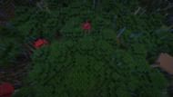 Mobs have shelter is not good (Image via Mojang Studios)